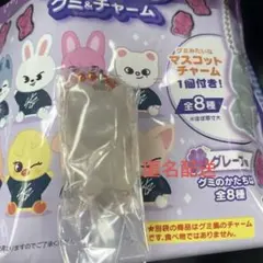 StrayKids スキズ SKZOO グミ&チャーム ヒョンジン ジニレット