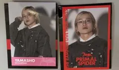 山本彰吾　フォトカード　ノーマル2種