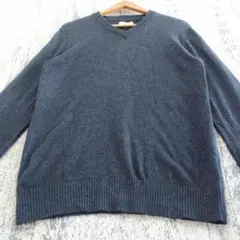 a1138【美品】アメリカンイーグルアウトフィッターズ　Vネックニット　S