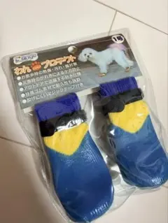 Item thumbnail for item 82761989-1f50-4e29-9f3c-38bffddb4e67