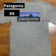 patagonia グレー Tシャツ XS