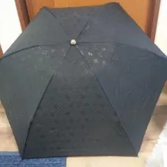 Item thumbnail for item 82cce567-e181-478e-bad4-e0b256551dd4