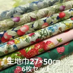 SS-99ハギレ カットクロス生地巾 27×50cm 6枚セットいちご柄