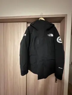 THE NORTH FACE　アンタークティカパーカ