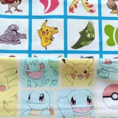 ポケモンキャラクター生地 はぎれ 2種類