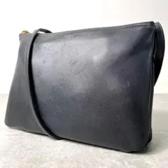 定価30万✨ セリーヌ　トリオ ラージ　ショルダーバッグ　スムース　ラムスキンのサムネイル