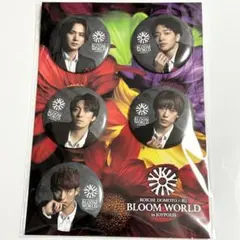 堂本光一 ふぉ〜ゆ〜 ジョイポリスコラボ 缶バッジセット - メルカリ