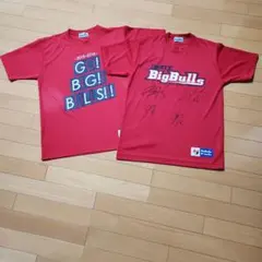 岩手ビッグブルズ Tシャツ 2枚セット (選手直筆サイン入り)のサムネイル