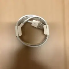 USB充電ケーブル ライトニングコネクタ ホワイト