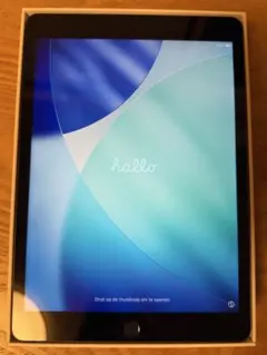 Apple iPad (第9世代) 256GB Wi-Fi