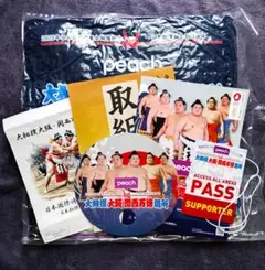 大相撲 大阪関西万博場所 記念品 万博限定 座布団 お土産 6点セット