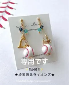 みープロフ必読様専用です