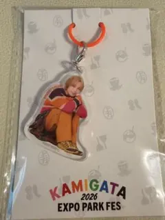 KAMIGATA 오니시 유성 아크릴 매력
