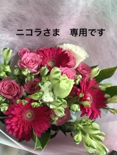 ニコラさま専用 ラボット クリスマスサンタ帽子他