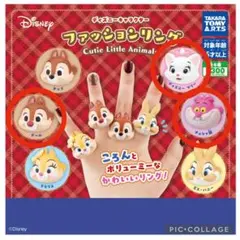 薬屋のひとりごと ダッフィー シェリーメイ コスチューム 猫猫 壬氏