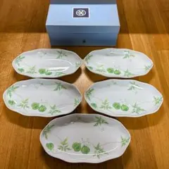 たち吉　風船かずら　長皿　楕円皿　焼物皿　横幅25.2cm
