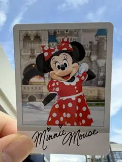 東京ディズニーリゾート ディズニーコレクションカード ミニーのサムネイル
