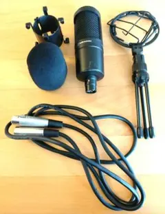 RAM AUDIO(ヘリテージオーディオ) HERITAGE technical audio DWM-2000 配信機器・PA機器・レコーディング機器 System oN Rock | 2000 配信機器・PA機器・レコーディング機器