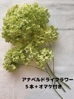 Item thumbnail for item 64b3ee2e-8651-4e64-8b3d-111eba65132e