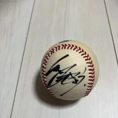 値下げ】阪神タイガース #29 井川慶 レプリカサインボール - メルカリ