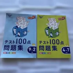 チャレンジ3年生　テスト100点問題集　2冊のサムネイル
