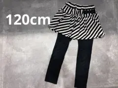 Item thumbnail for item 8121b9ab-4fa7-42de-8114-314ea015d8b4