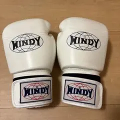 WINDY ボクシンググローブ BGVH 14oz ホワイトのサムネイル