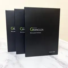 Item thumbnail for item 693dfa03-cb46-4a0b-a997-881e9ce69db1