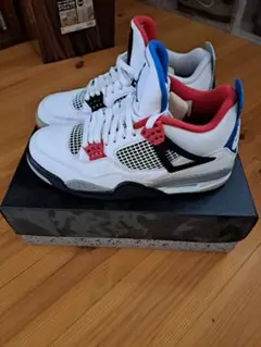 AIR JORDAN4ワットザ
