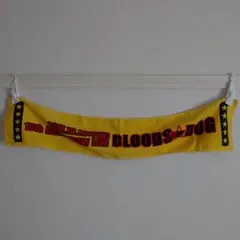 15th Anniversary Live BLOODS タオル