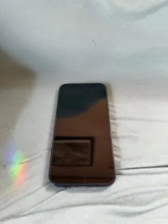 Apple iPhone 12 青【WiFi、Bluetooth使用不可】