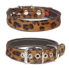 Item thumbnail for item ad29253a-5597-4a1b-9ba0-a8019e2a5181