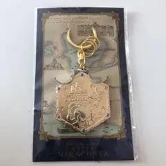 ディズニーキーホルダー ディズニーシー15周年 非売品