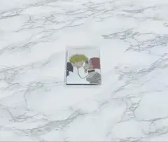 矢沢あい ツインウエハース