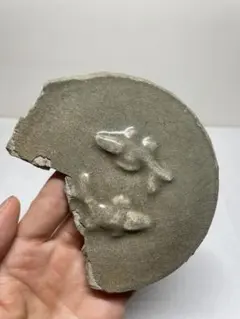 230陶片 南宋 青磁 結構大きい - メルカリ