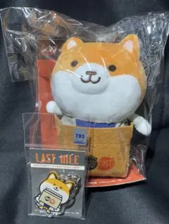 ラストマイル ポリまる ぬいぐるみ MIU404 デイリーファスト - メルカリ