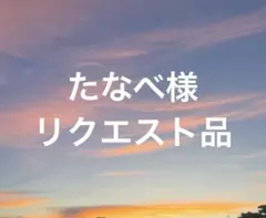 たなべ様 リクエスト 2点 まとめ商品