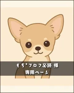 もち*プロフ必読さま 専用ページ