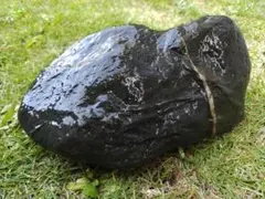 天然石 鑑賞石 水石 盆石 庭石瀬田虎石 - メルカリ