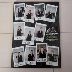 Acid Black Cherry 台座付き ビジュアルプレートボールペンおまけ
