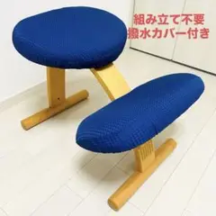 balans Easyバランスチェア イージー 撥水カバー付き　レッド　紺