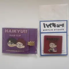 ハイキュー!! 牛島 & 天童 ヘアクリップ アクリルステッカー