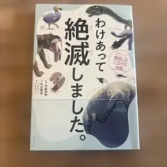 ANK様 リクエスト 2点 まとめ商品