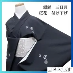 銀彩　三日月　桜花模様　花吹雪　付け下げ　着物　083w p