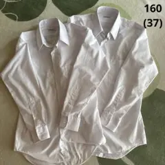 Bird Line スクールシャツ 2枚セット 160(37)