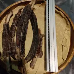 のん様ご専用