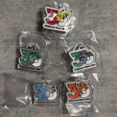 ポケモン 30周年 メタルチャームマスコット