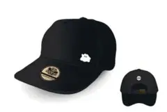 ぽこあポケモン　特典　キャップ