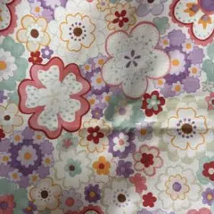 Item thumbnail for item 1a24a8f8-60f6-41ad-8231-b4e961c13953