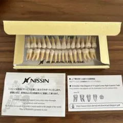 NISSIN 歯科模型　新品未使用のサムネイル